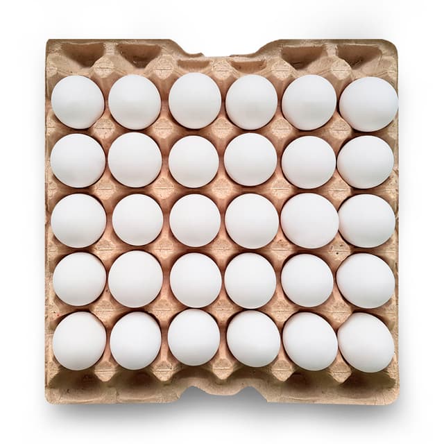 Fresh Eggs