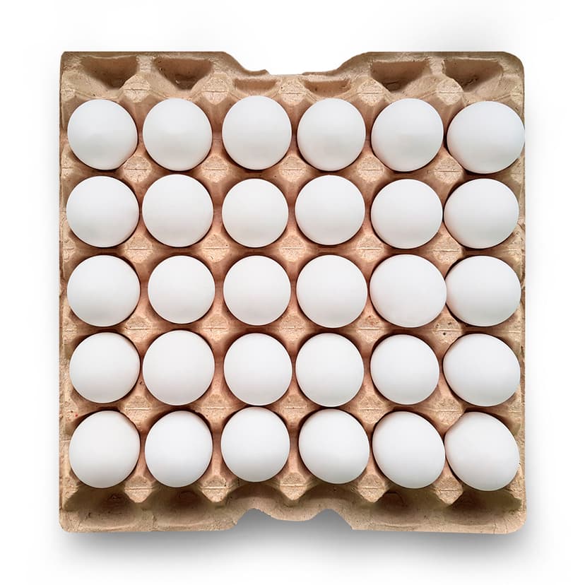 Fresh Eggs
